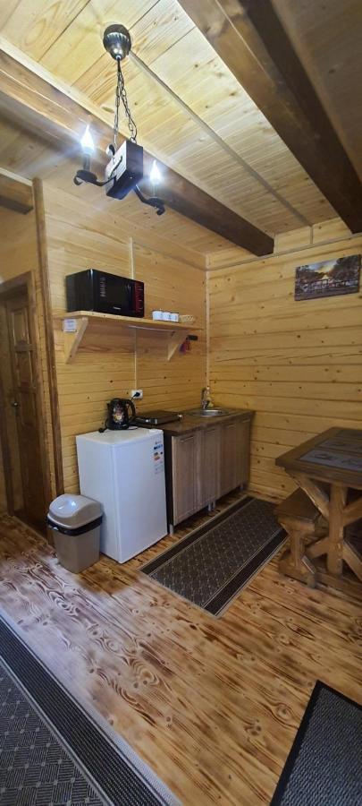 під озером синевир Apartment