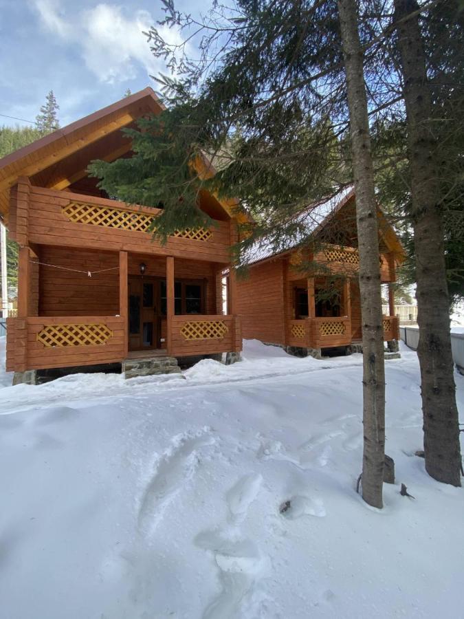 під озером синевир Apartment